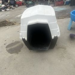Big dog house