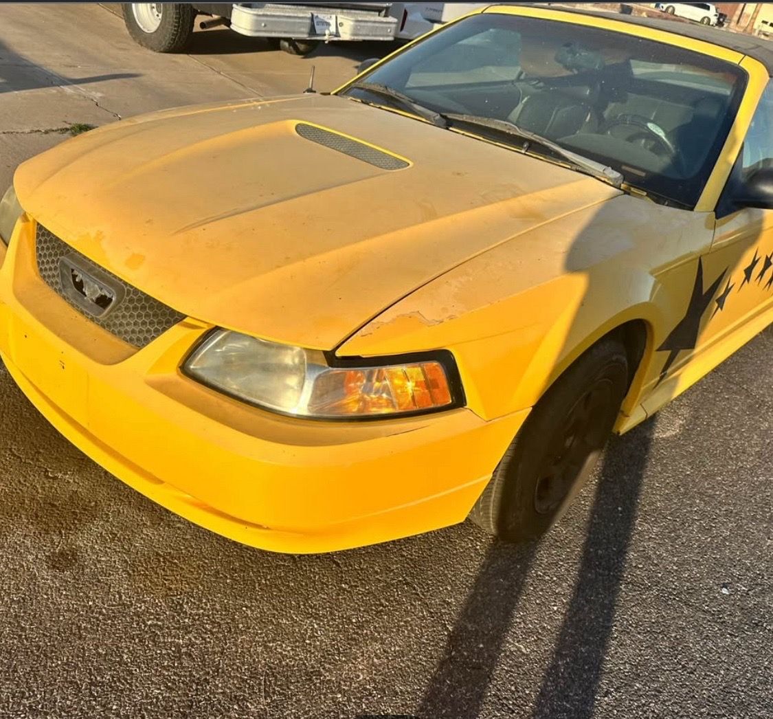 Trade for sportster