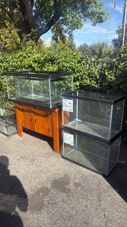 Aquariums - Pets Paradise Closing Sale