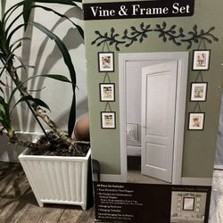 Wall Solutions Vine & Frame Set – 10-Piece Wall Décor (Open Box)