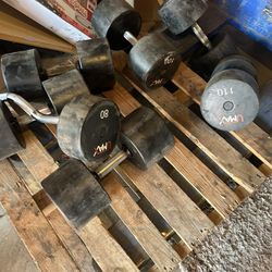 Umax Weights And Life Fitness Treadmill 