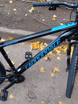 Cannondale Bike