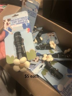 Dog items