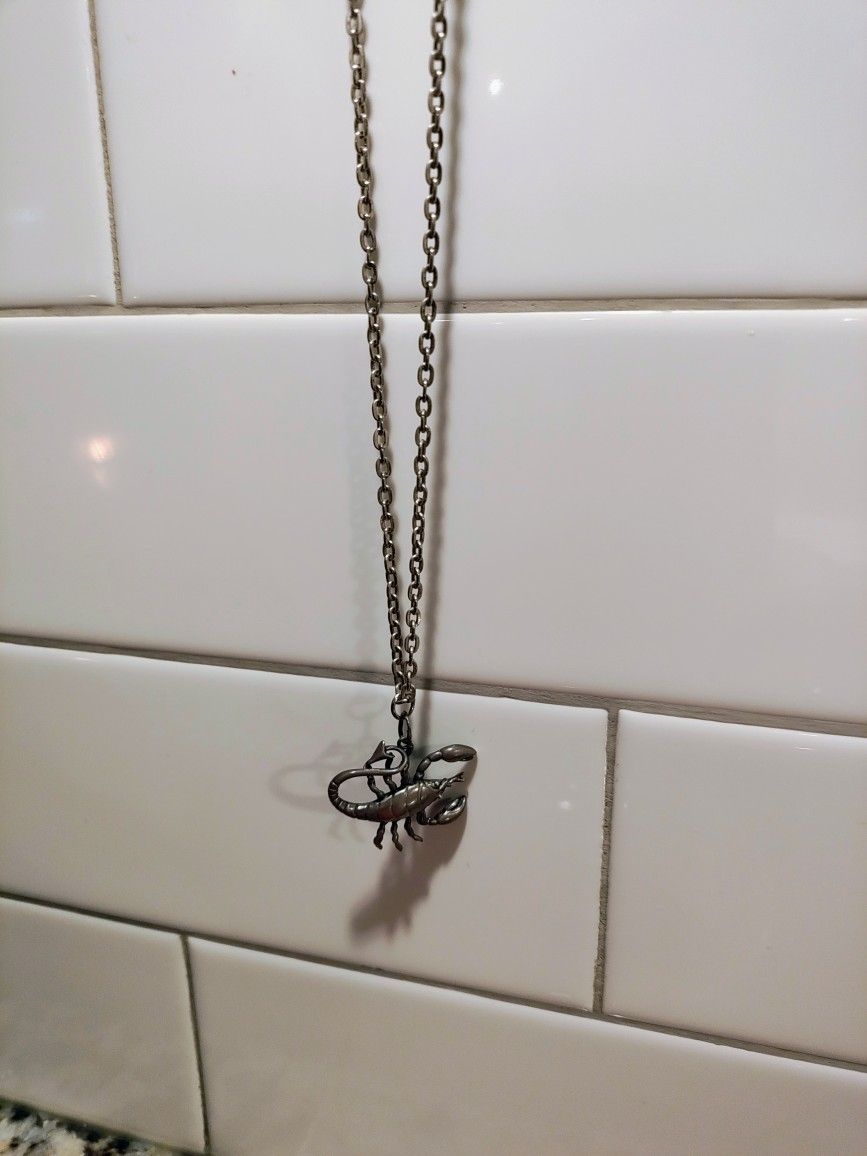 Metal Chain With Silver Scorpion Pendant.