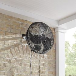 Fan
