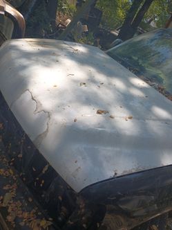 Car Hood Panel White