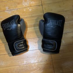 Boxing Gloves Everlast Powerlock