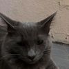 Johnathon Blick