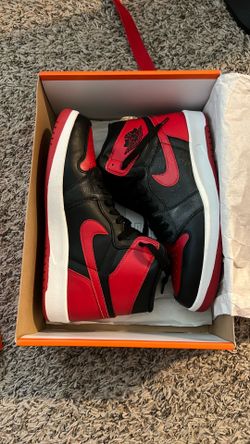 Air Jordan 1.5