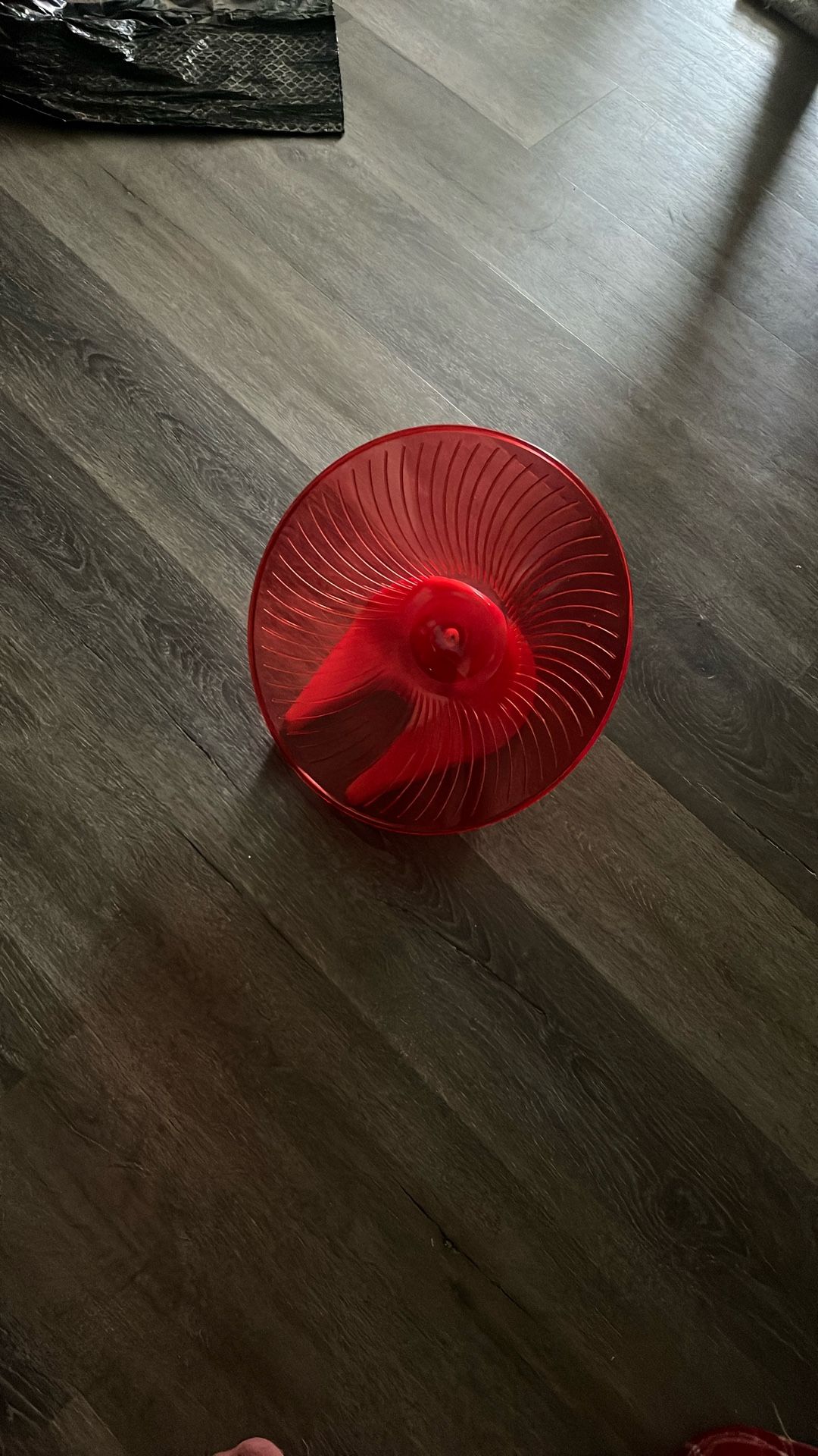 Unused Small Animal Wheel