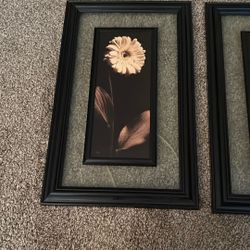 Flowered Frame Pictures 