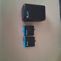 Gopro 8 Batteries  With Charger