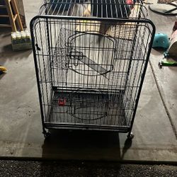 Rodent Cage