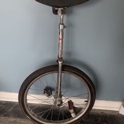 Unicycle