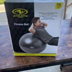 Exercise Ball 