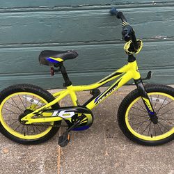Giant Kids Bike