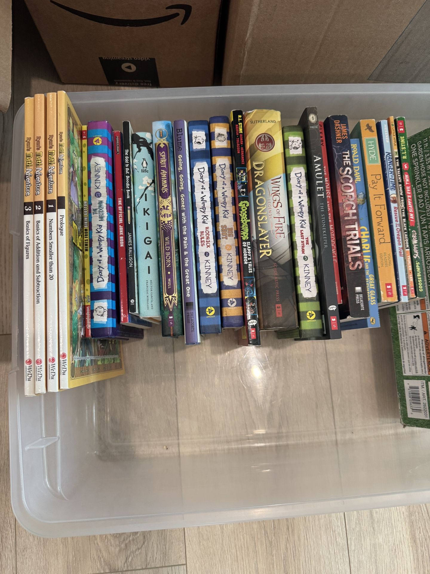 Kids Book And Splash Pad 