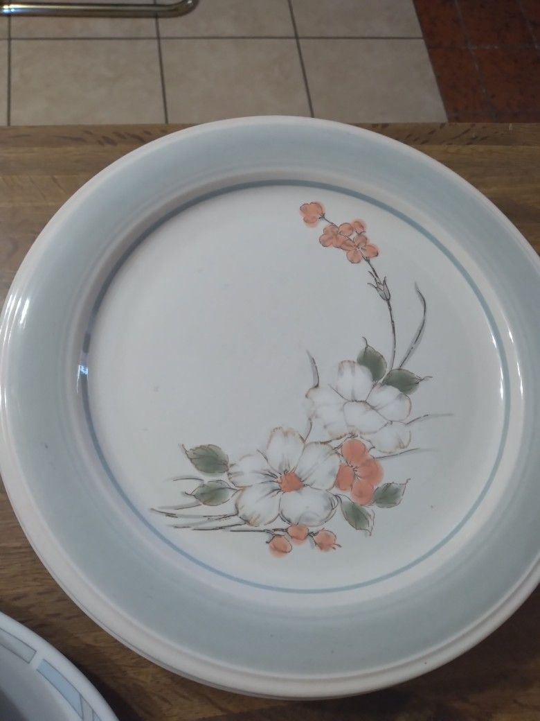 Dinner Plates/ Stoneware