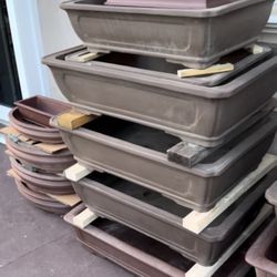 XL bonsai Pots 