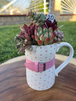 Mother’s Day Succulent arrangement