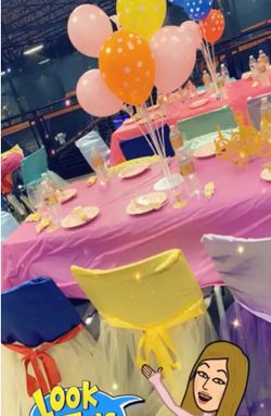 Tulle tutu chair covers