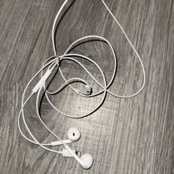 Apple Headphones With Lightening Connector