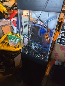 Fish tank with stand