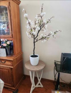 Cherry Blossom Tree with Table