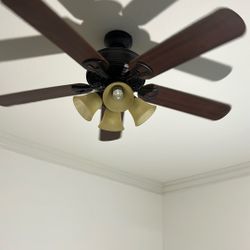 Ceiling Fan