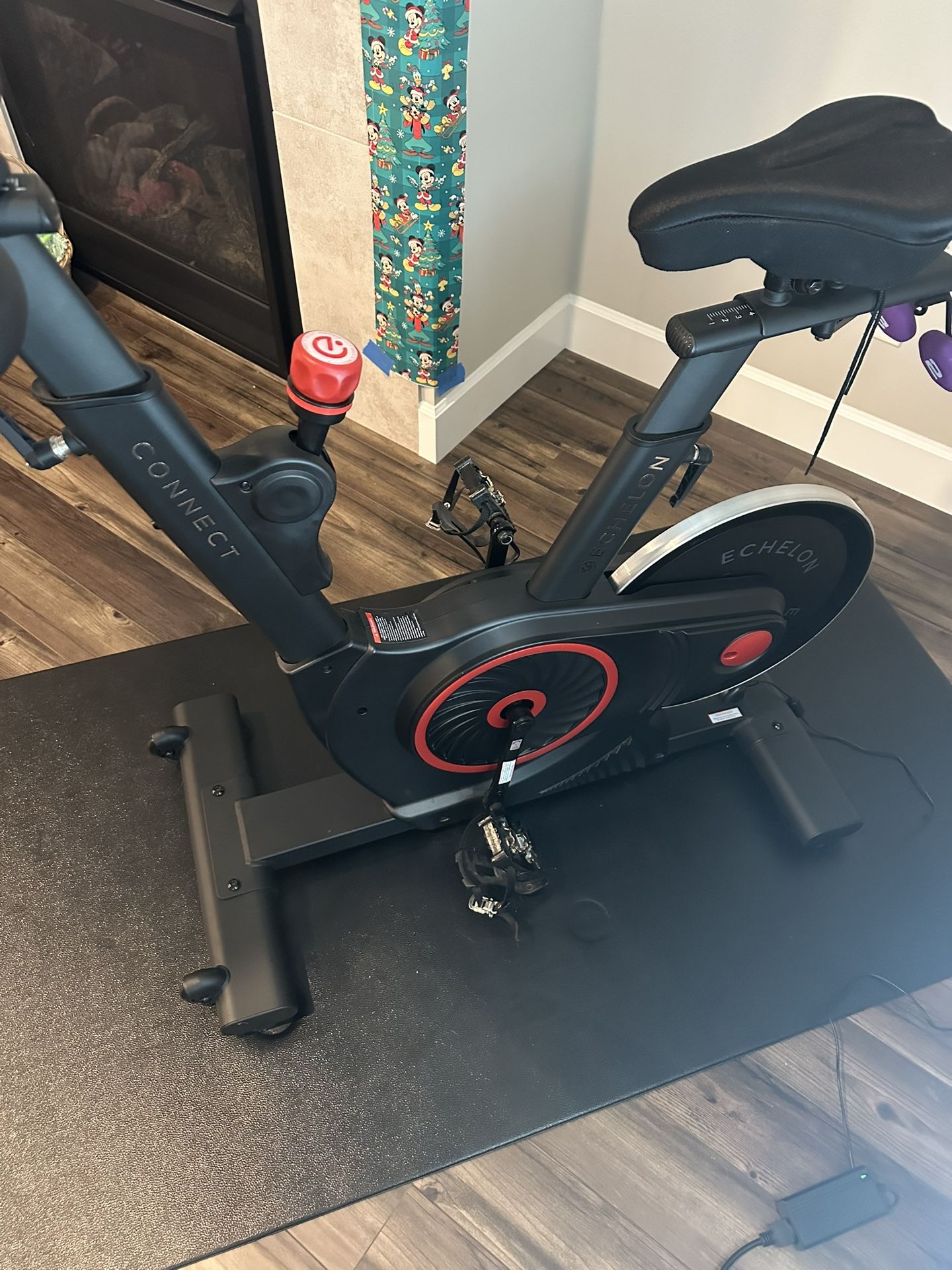 Echelon Connect Indoor Bike