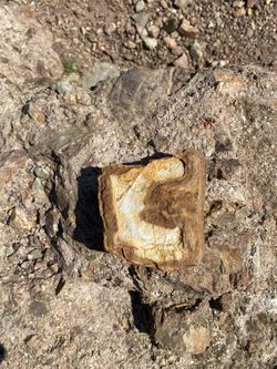 *Send Offers* San Francisco Iron Rock With Letter C