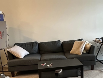 Grey Couch