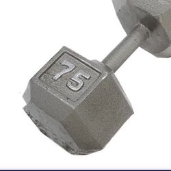 75 Pound Dumbbells For Sale 