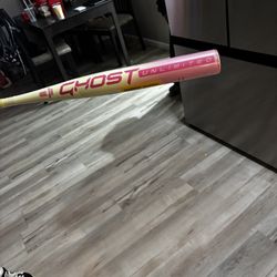 Pink Lemonade Easton Ghost Bat