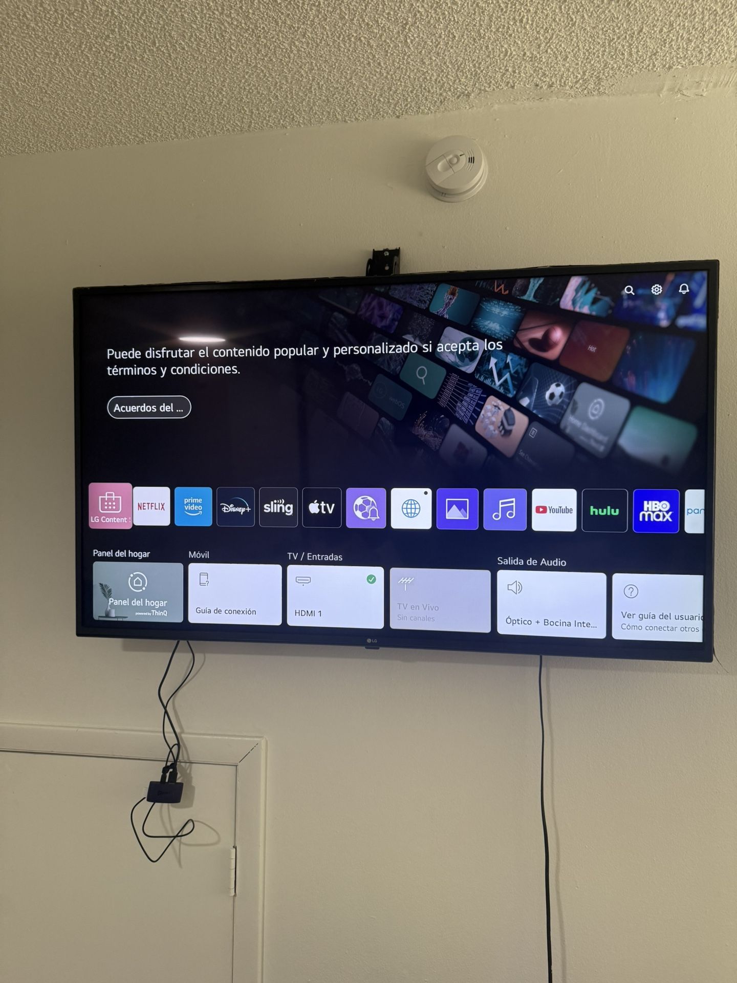 TV 