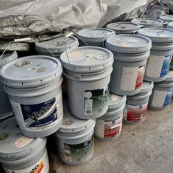 Interior Egggshell Paint