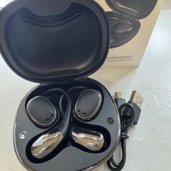 Earphones with charging case