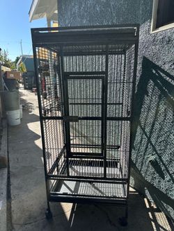 Bird Cage