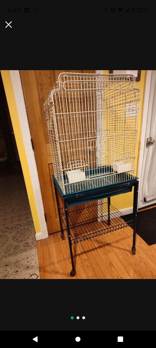 Bird Cage