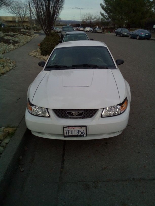 2004 Limited Edition 40 Year Anniversary