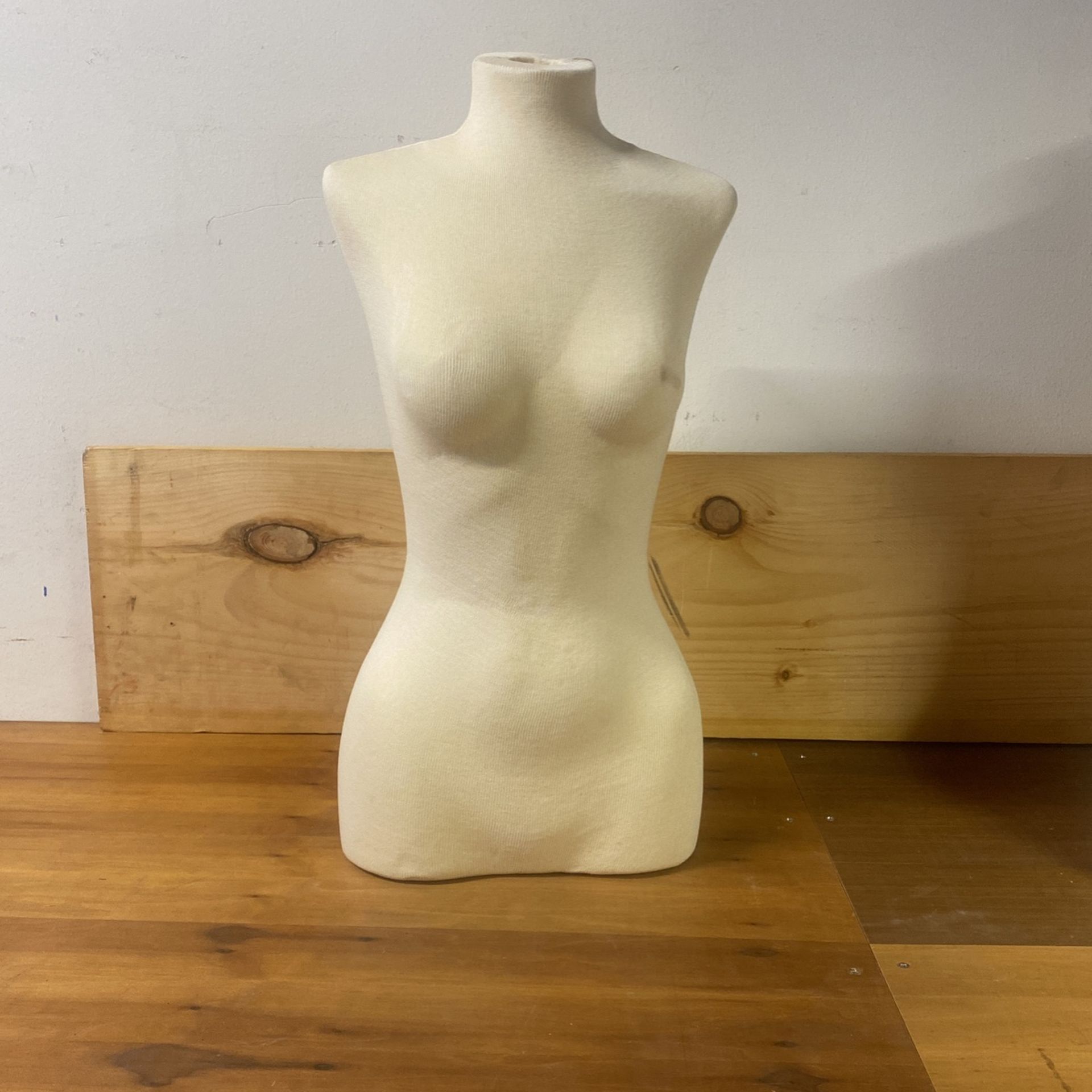 Two Women’s Torso Mannequin