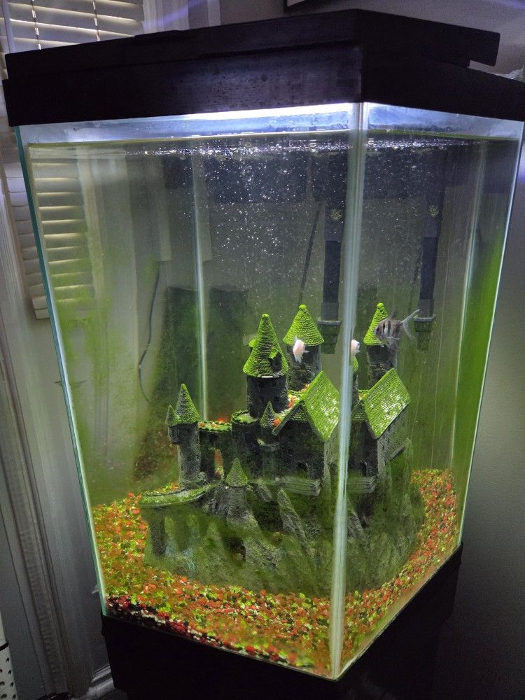 20 Gallon Hexagon Fish Tank With Stand