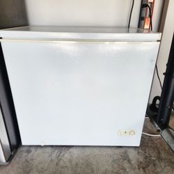 Thompson deep freeze