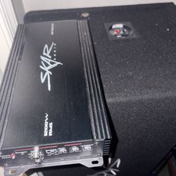 12in Speakers Perfect 