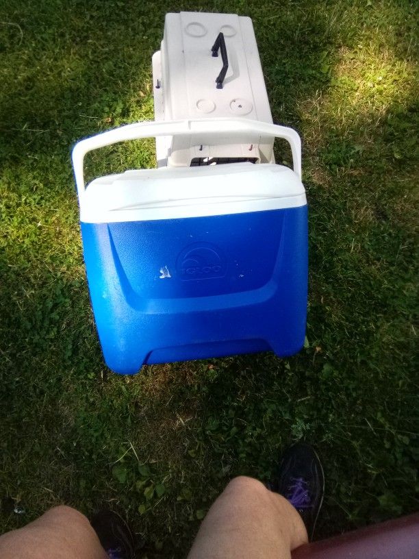 Igloo Cooler