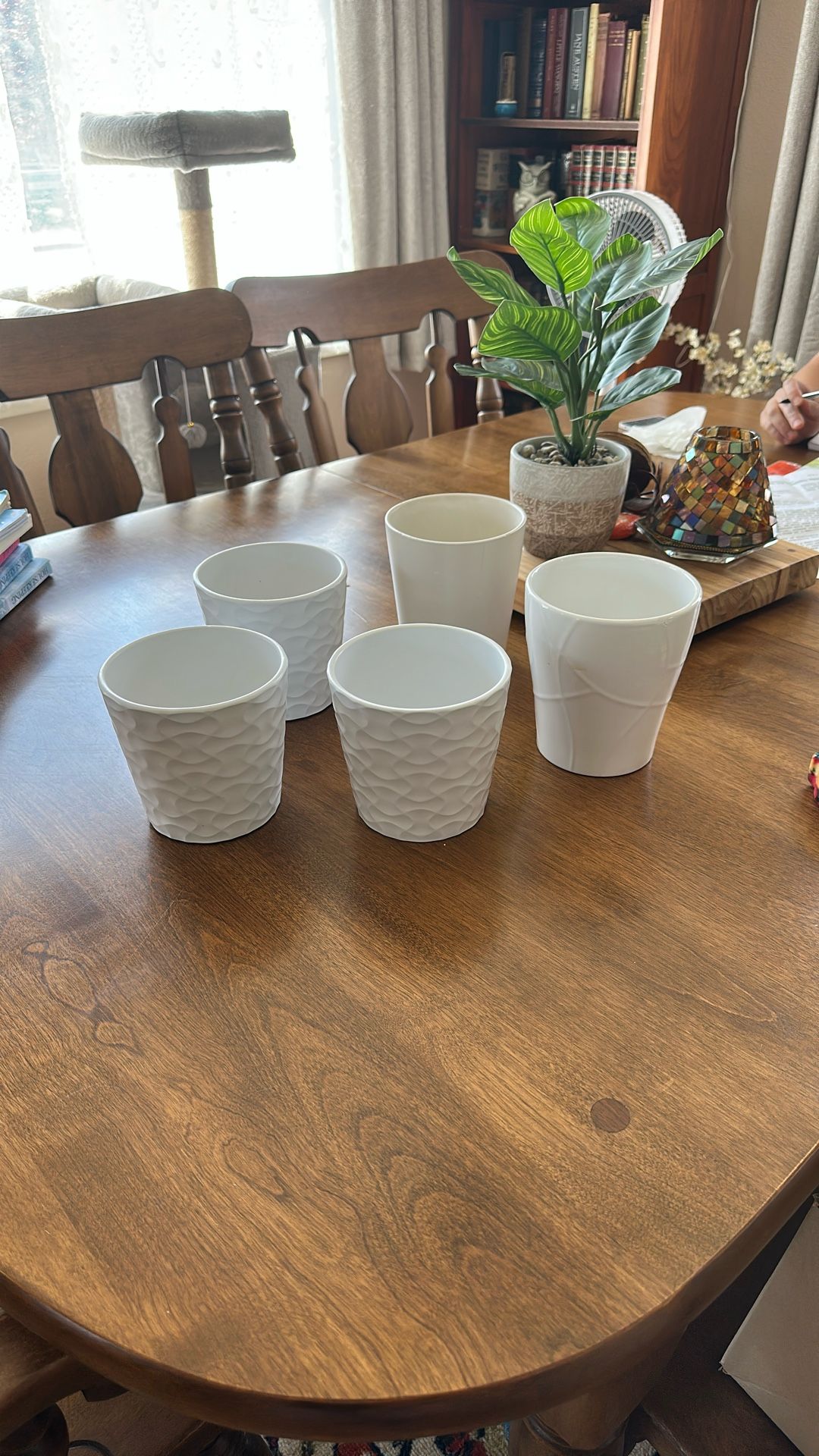 5 White Pots + 1 Large Rattan Plant Basket Bundle