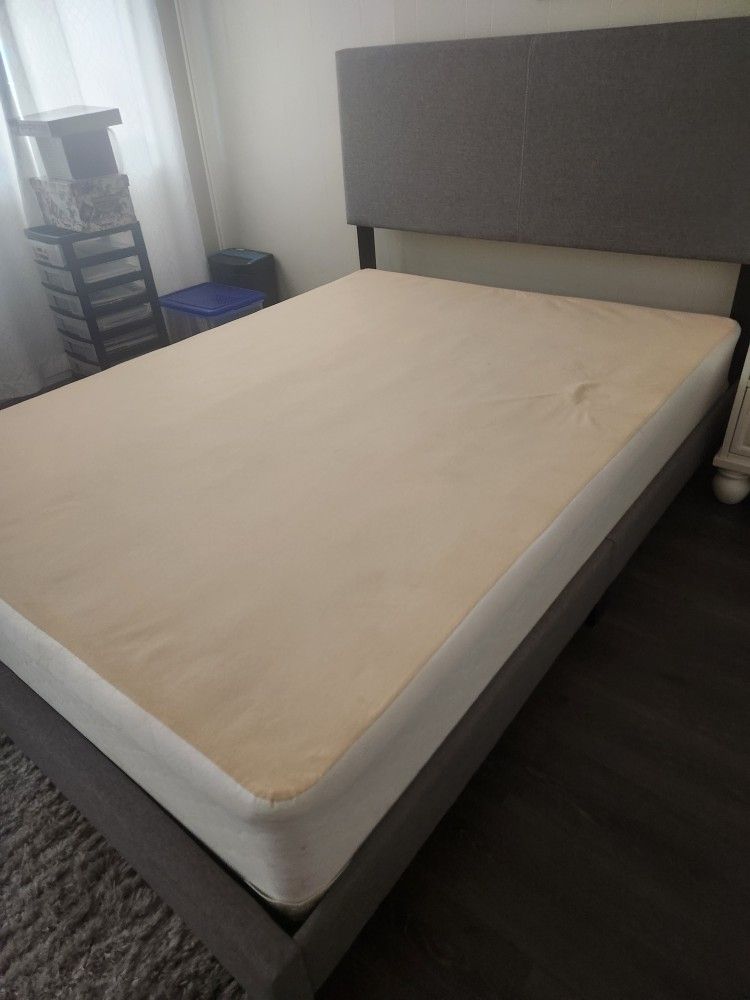 Padded Bed Frame And Box Springs
