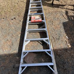 10Ft New Werner Ladder