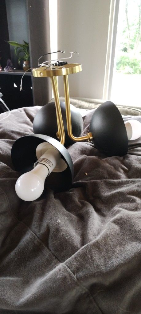 Light Fixtures