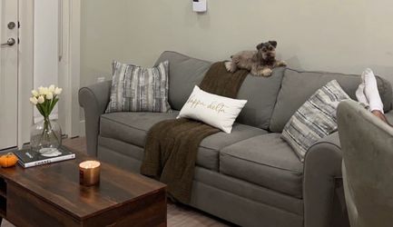Pull out couch